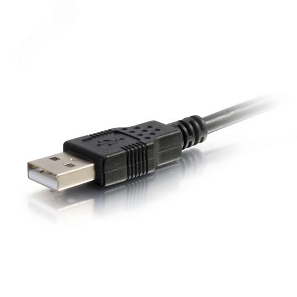 Кабель USB 2.0 A штекер - microB штекер 1м 39861 Legrand - превью 3