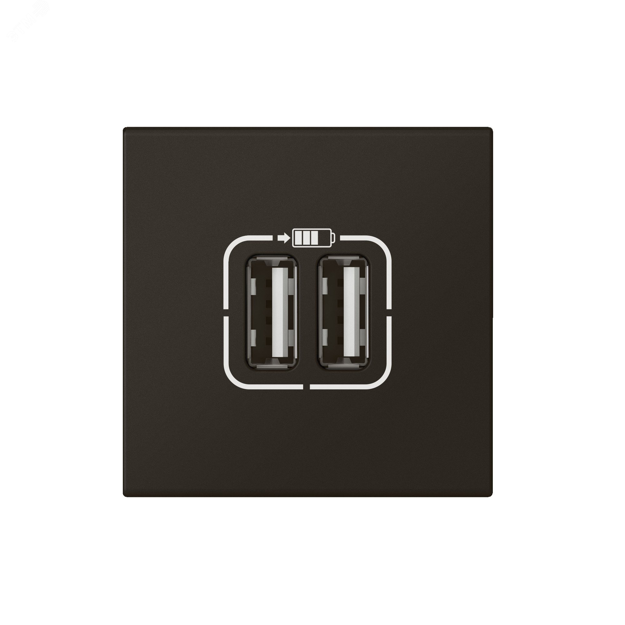 Розетка USB А+А для зарядки двойная Mosaic 2 модуля - матовая черная 079194L Legrand - превью