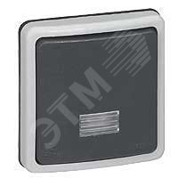 Изображение товара Кнопочный выключатель Plexo IP66 6 А 220 В 2 клавиши редкий серый Франция