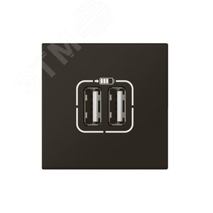 Розетка USB А+А для зарядки двойная Mosaic 2 модуля - матовая черная