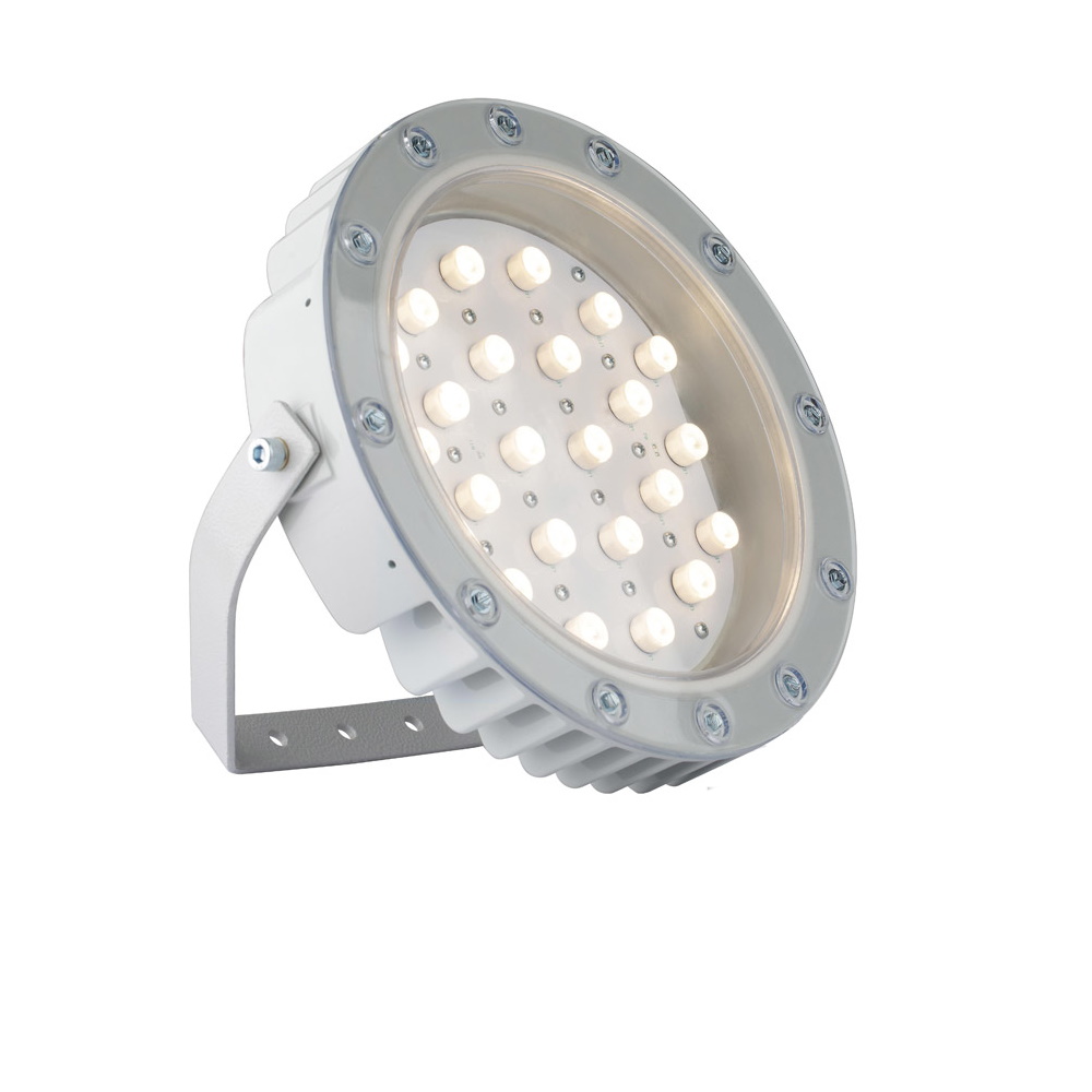 Светильник светодиодный ДО-24 Аврора LED-24-Ellipse/W3000/МG