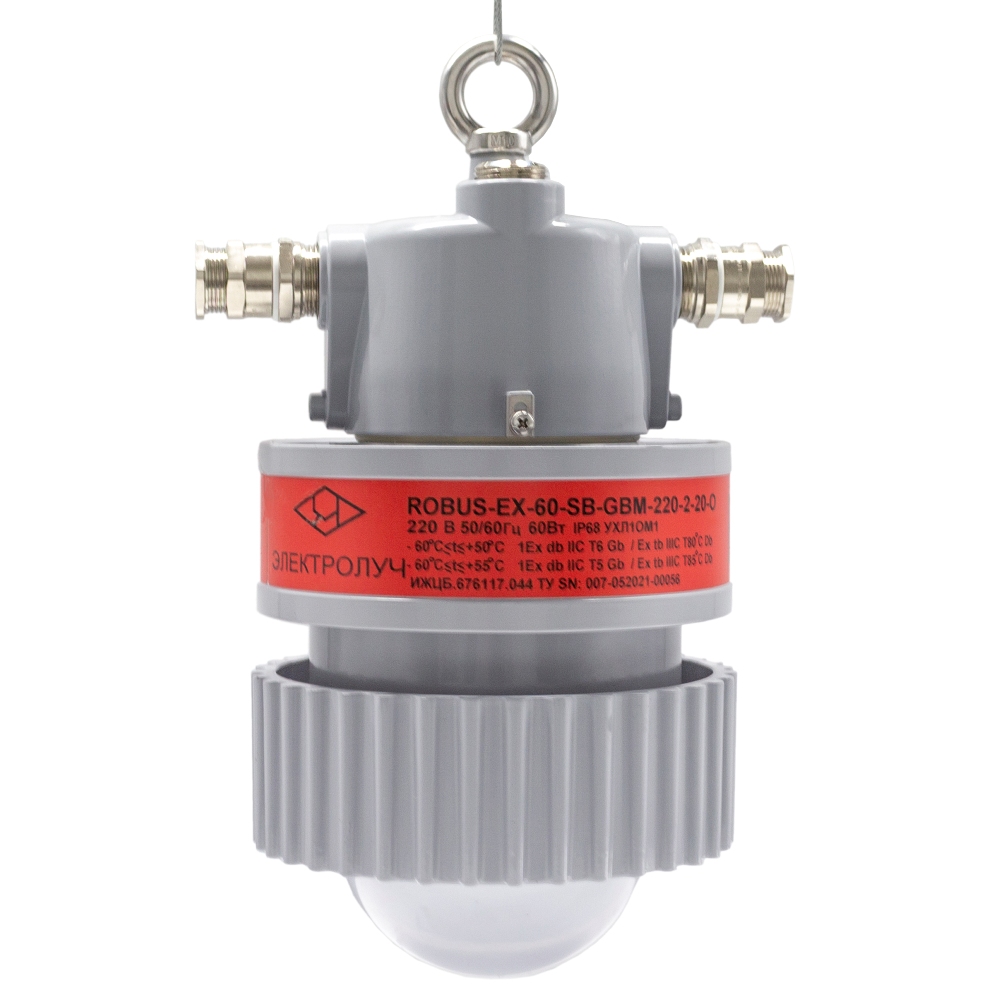 Светильник светодиодный взрывозащищенный ROBUS-EX-30-EM-СРС-220-2-25-О