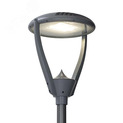 Светильник светодиодный Факел LED-40-ШО/Т60 (5700/740/RAL7040/D/0/GEN2) 17931 GALAD - превью