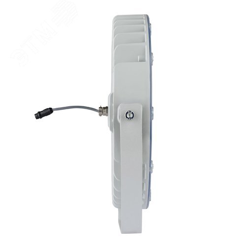 Светильник светодиодный ДО-24 Аврора LED-24-Ellipse/W3000/МG - фото 2