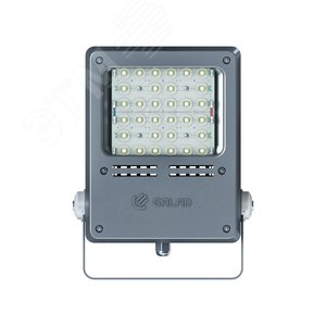 Прожектор светодиодный ДО-40 Звезда LED-40-Г60.6-IP67-У11/LIRA/740/RAL7040/TG/AC230/D/X/G2 - фото 2