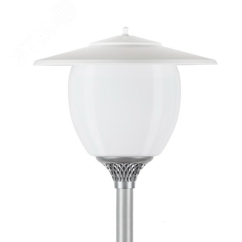 Светильник светодиодный Дон Кихот LED-40-СПШ/Т60 (750/RAL7040/D/0/GEN2) - фото 1