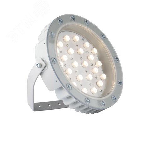 Светильник светодиодный ДО-24 Аврора LED-24-Ellipse/W3000/МG - фото 1