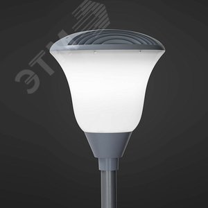 Светильник светодиодный Тюльпан LED-60-СПШ/Т60 (6240/740/RAL7040/D/0/GEN2) - фото 5