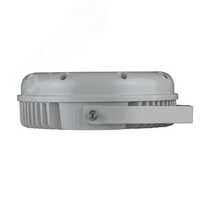 Светильник светодиодный ДО-48 Аврора LED-48-Ellipse/W3000/МG - фото 2