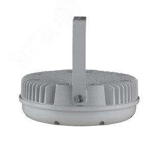 Светильник светодиодный ДО-48 Аврора LED-48-Ellipse/W3000/МG - фото 4