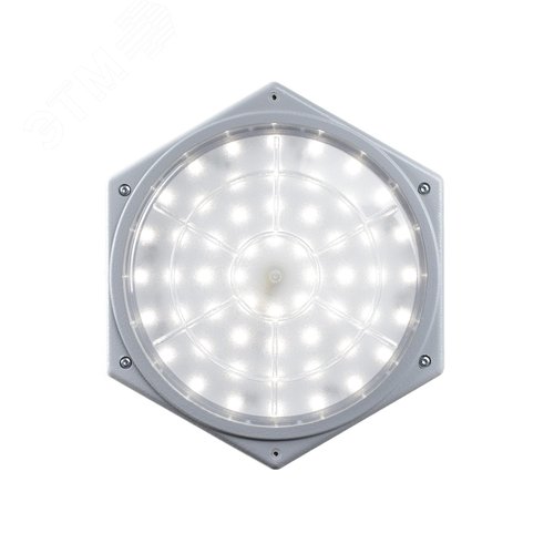 Светильник светодиодный уличный ДВУ-25-24х1.2-002 220В IP65 со стеклом молочный - фото 2