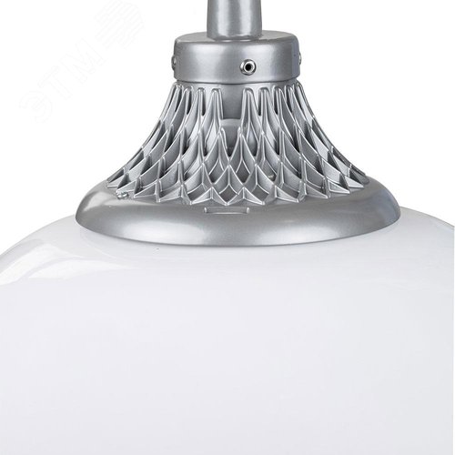 Светильник светодиодный Капля LED-40-СПШ/С1 (730/RAL7040/D/0/GEN2) - фото 2