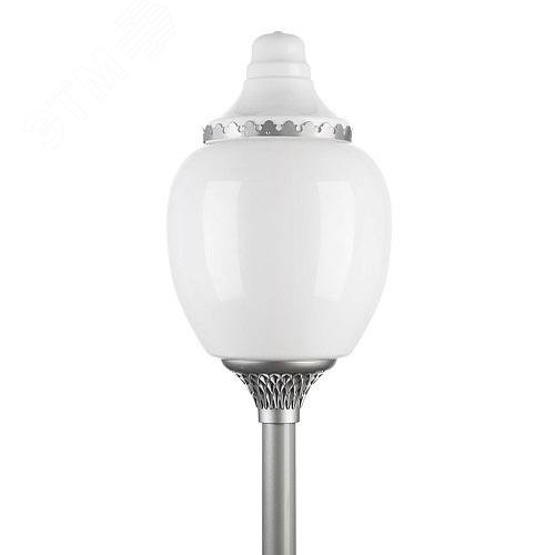 Светильник светодиодный Лотос LED-40-СПШ/Т60 (730/RAL7040/D/0/GEN2) - фото 1