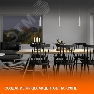 Светильник трековый ECO PENDTRACKSP 1PHGU10 BKRD 36X1RULEDV - фото 10