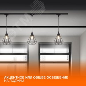 Светильник трековый ECO PENDTRACKSP 1PHGU10 BKRD 36X1RULEDV - фото 12