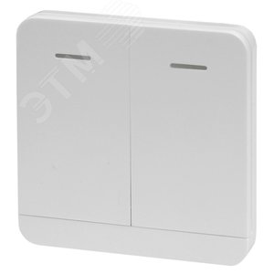 Изображение товара Передатчик радиоканальный дополнительный на 2 канала с фиксированным кодом (шт)