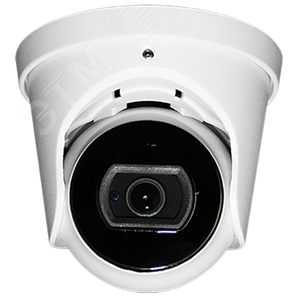 Видеокамера IP 2Мп купольная с ИК-подсветкой до 30м (2.8мм)