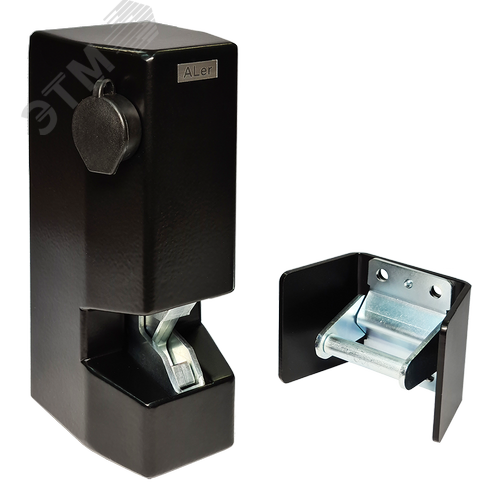 Изображение товара Замок электромеханический AL-ZL-01-24V, усилие удержания зацепа не менее 700 кгс, черный (шт)