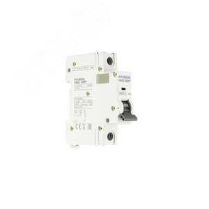 Автоматический выключатель HGD63P 1PMBS0000C 00010 1 полюс, 10А, ток к.з. 10kA, хар-ка B (STANDARD)