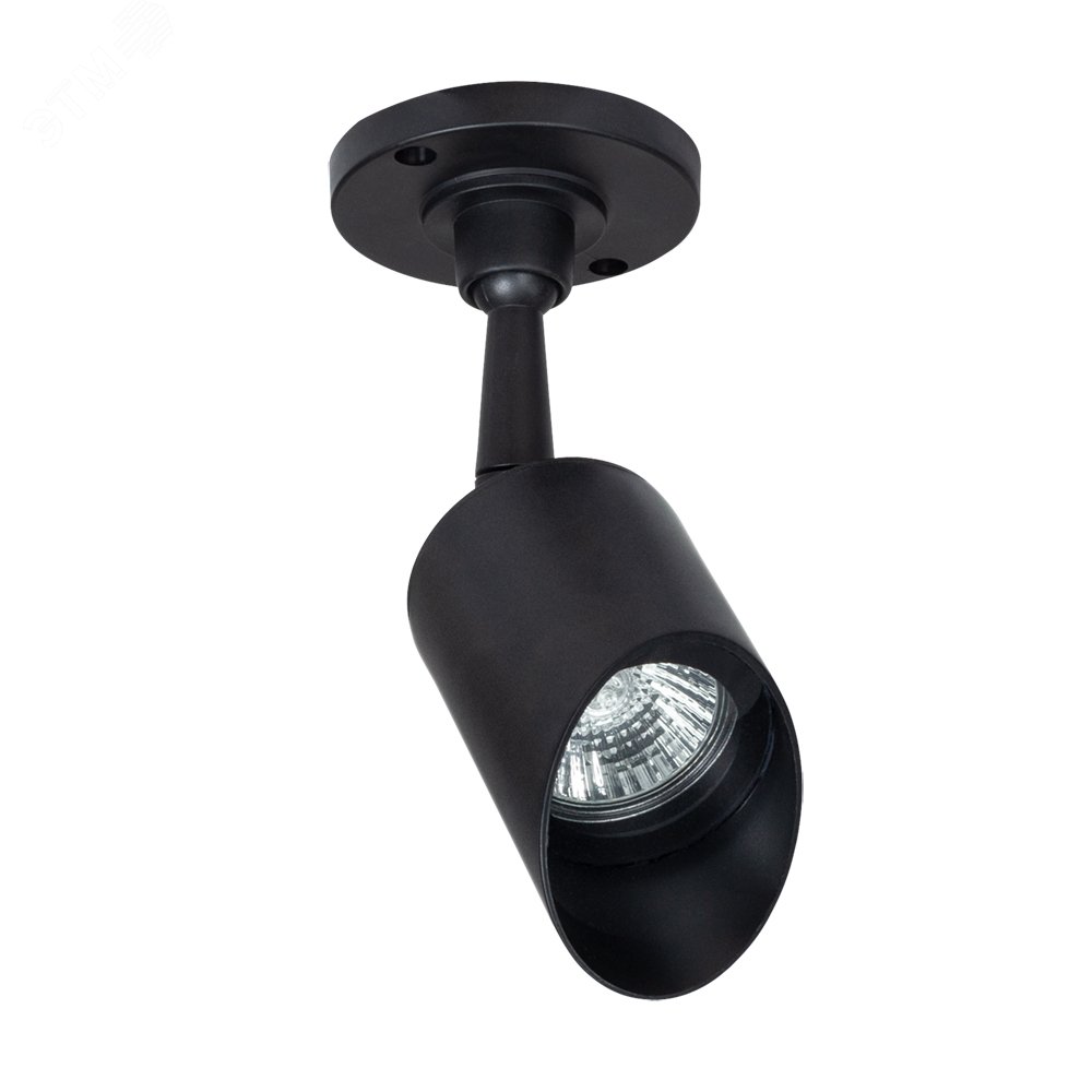 Изображение товара Уличный потолочный светильник Arte Lamp ELSIE GU10 1х5Вт для открытых помещений