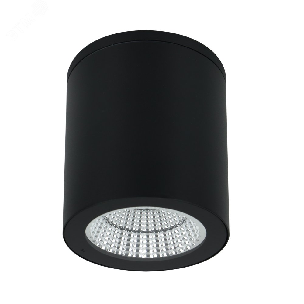 Изображение товара Уличный потолочный светильник TORCULAR LED 13Вт Arte Lamp для улицы
