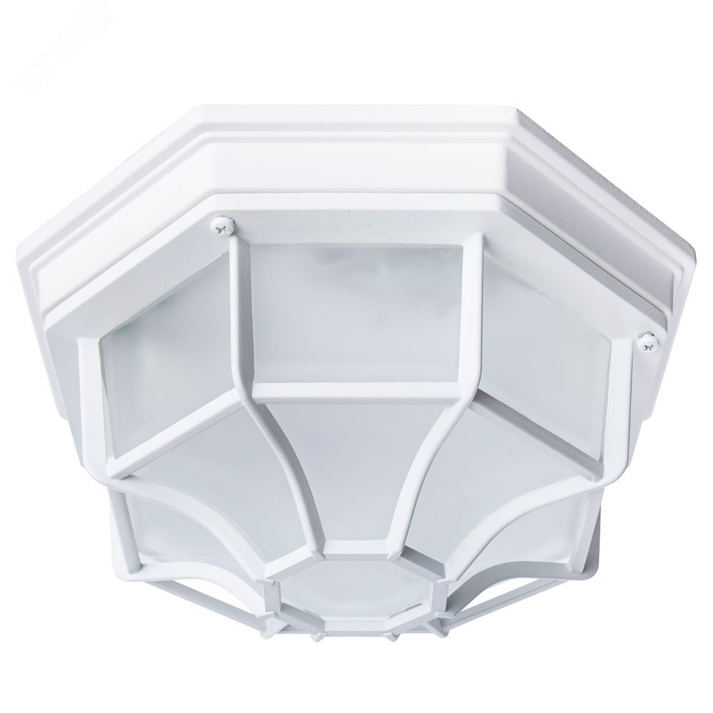 Изображение товара Уличный потолочный светильник Arte Lamp PEGASUS E27 1*60Вт белый металл