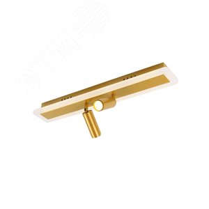 Изображение товара Спот TOMMY LED 22Вт Металл Золото (шт)