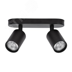 Изображение товара Спот AQUARIUS GU10 2х35Вт Алюминий Чёрный (шт)