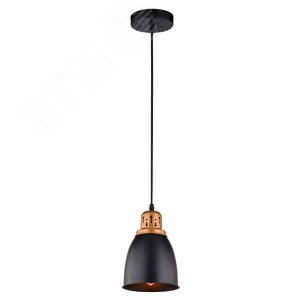 Изображение товара Светильник подвесной EURICA E27 1х60Вт Металл Чёрный (шт)
