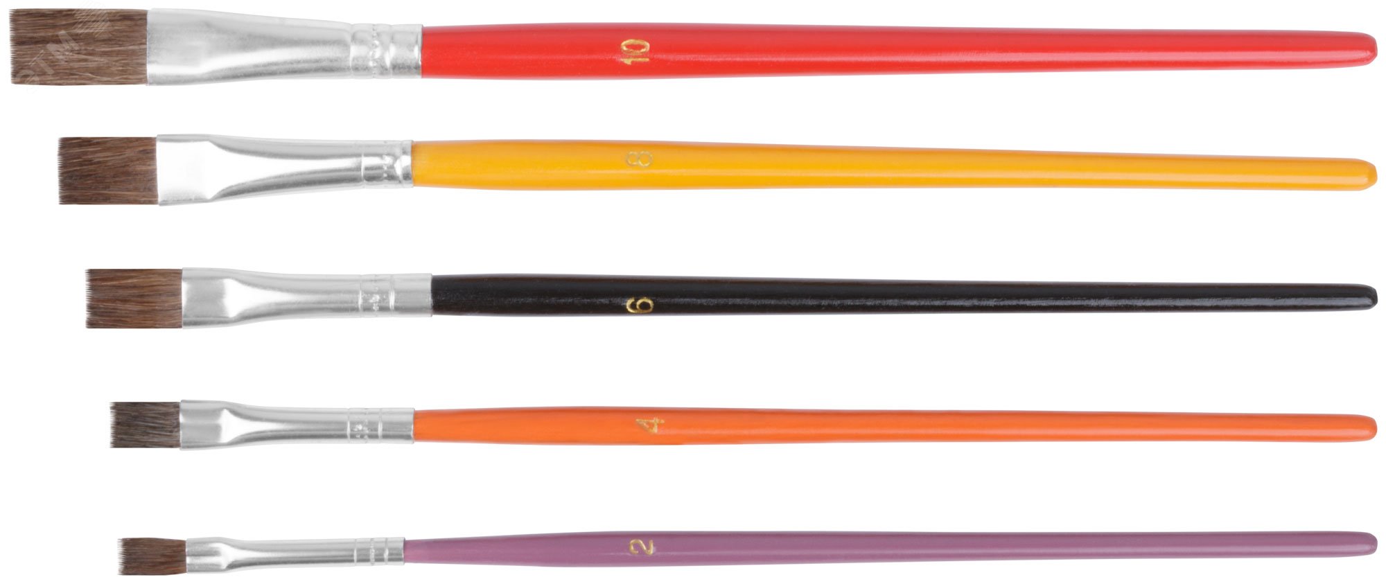 Кисти художественные, натуральная щетина, деревянная ручка, плоские, набор 5 шт 01515 FIT - превью