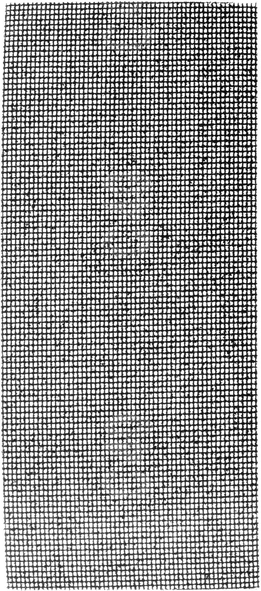 Изображение товара Сетки шлифовальные 115х280 мм, 3 шт, P40, водостойкие, нейлоновые