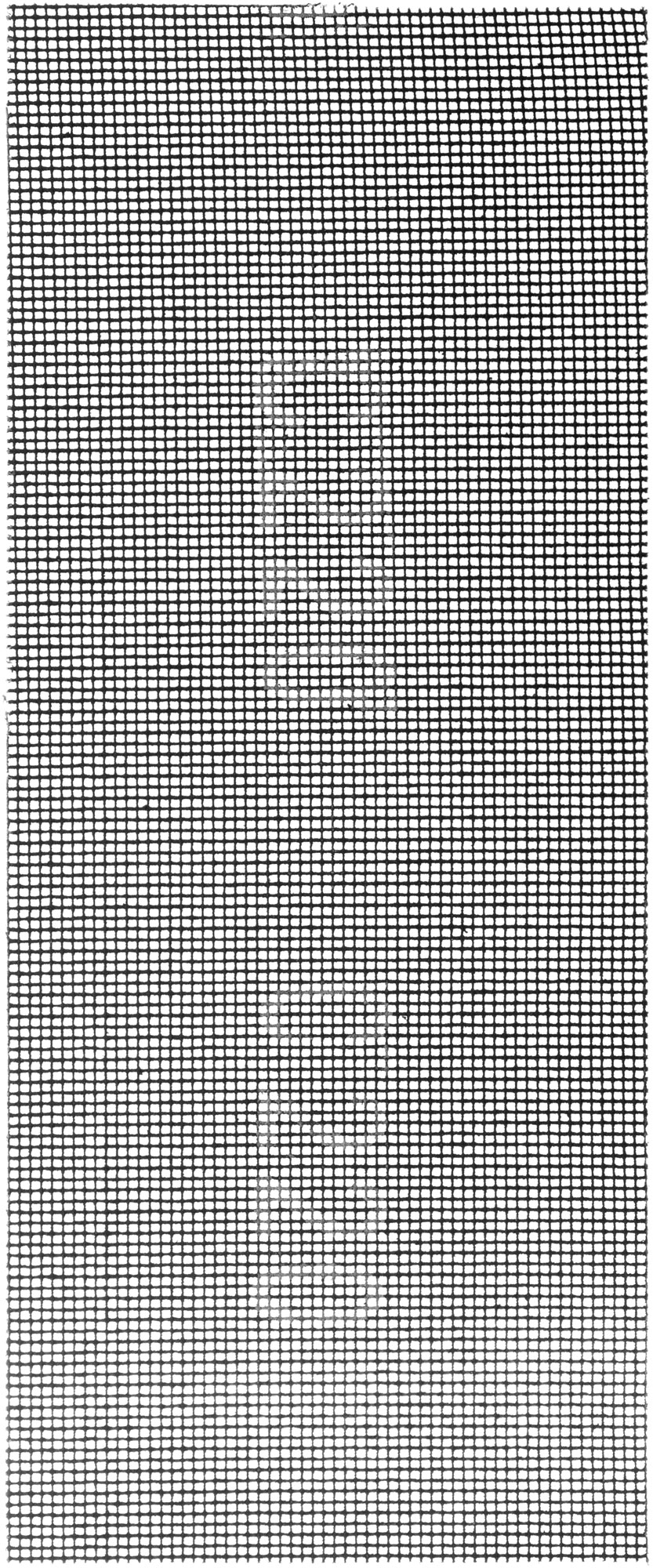 Сетки шлифовальные 115х280 мм, 3 шт Р 220