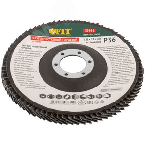 Круг лепестковый торцевой кальцинированный, 125 мм Р 36 - фото 2