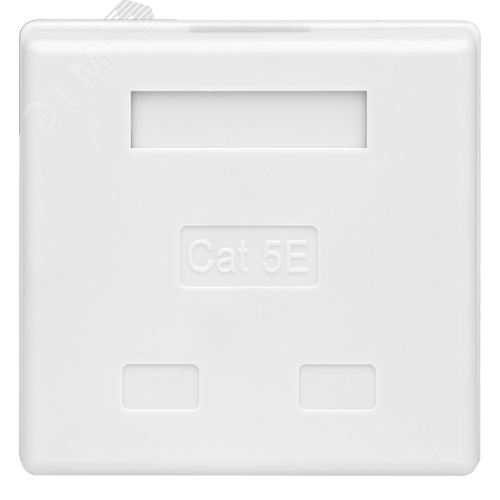 Изображение товара Розетка компьютерная 8P8C (RJ-45) UTP Cat5e 2 порта (DIY упак.) (шт)