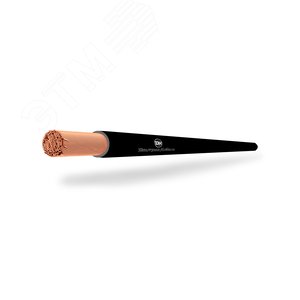 Провод силовой ПуГВ 1х4(100-Ч) ТРТС  - фото 1