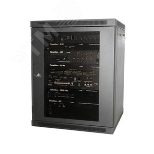 Шкаф телекоммуникационный ТШ-156060Ч1 настенный 15U на 4 приборов