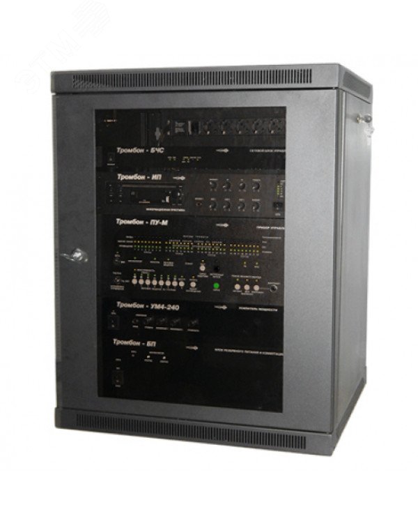Шкаф телекоммуникационный ТШ-156060Ч1 настенный 15U на 4 приборов Шкаф ТШ-156060Ч1 Тромбон