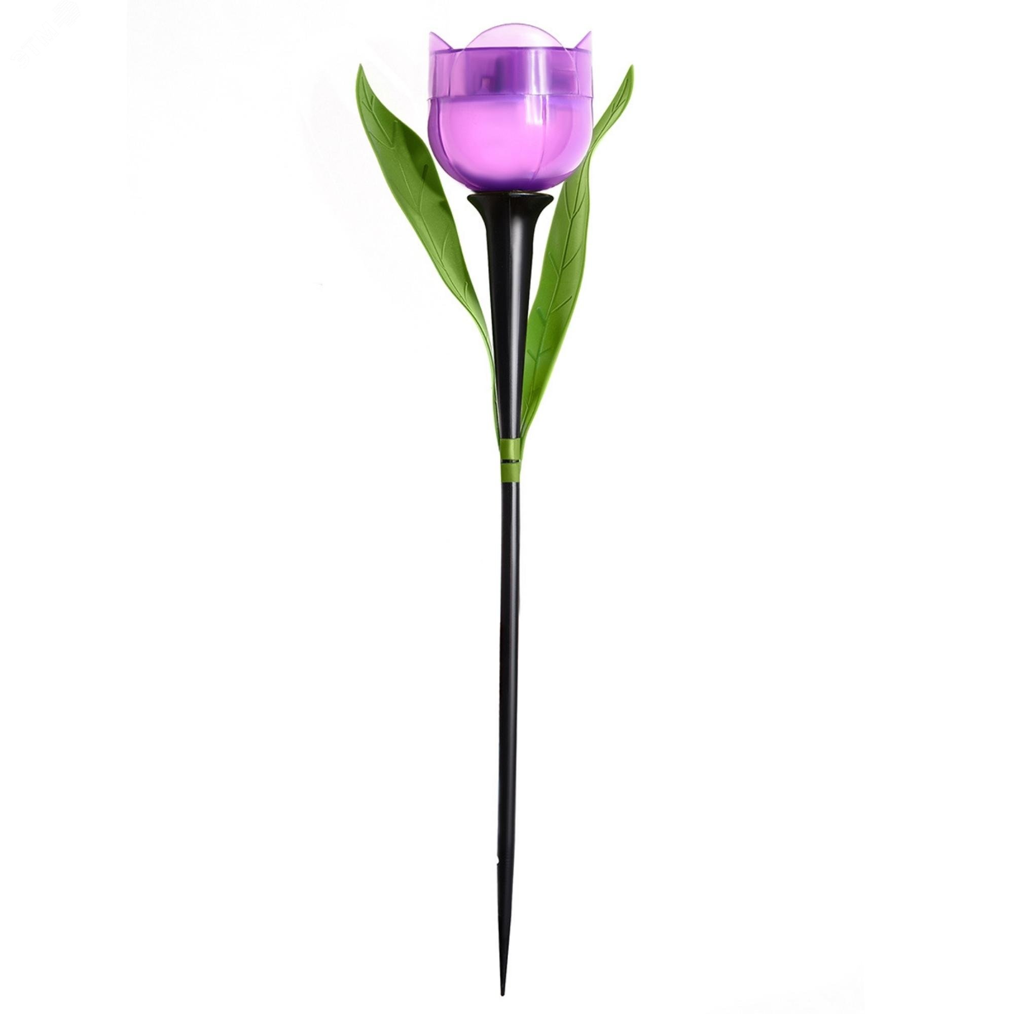 Изображение товара Светильник светодиодный садовый на солнечной батарее PURPLE TULIP