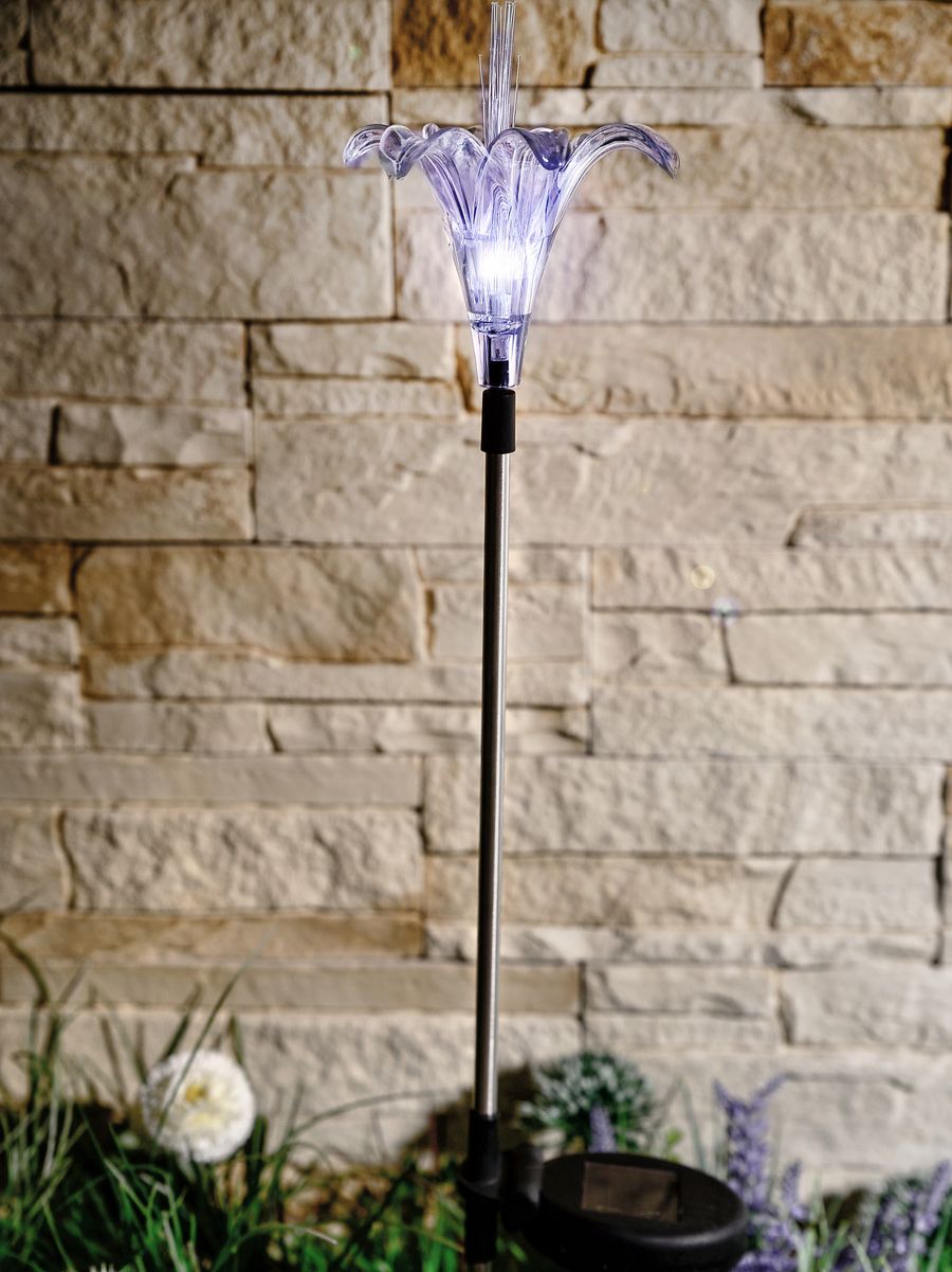 Светильник светодиодный садовый USL-S-104/MT810 на солнечной батарее Lily Special