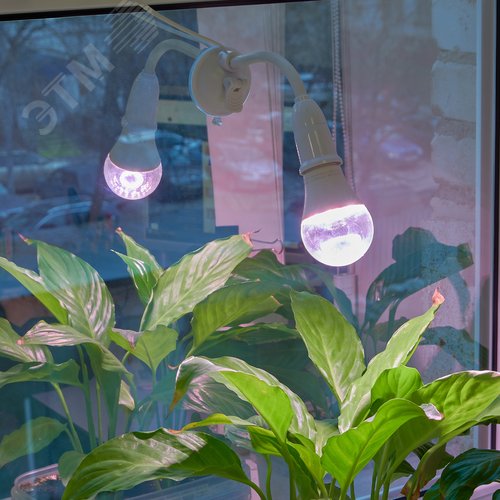 Светильник на присоске для фитоламп с выключателем, E2 цоколь, белый ФитоЛето - фото 14