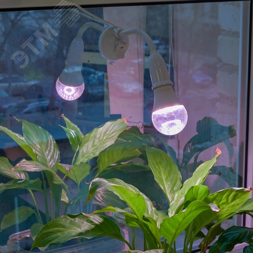 Светильник на присоске для фитоламп с выключателем, E2 цоколь, белый ФитоЛето - фото 15