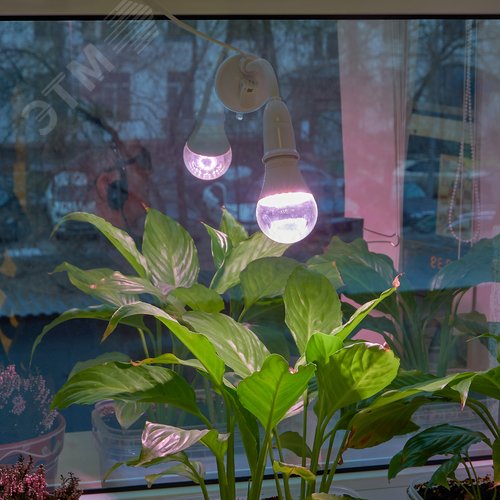 Светильник на присоске для фитоламп с выключателем, E2 цоколь, белый ФитоЛето - фото 16