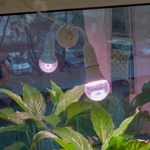 Светильник на присоске для фитоламп с выключателем, E2 цоколь, белый ФитоЛето - фото 17