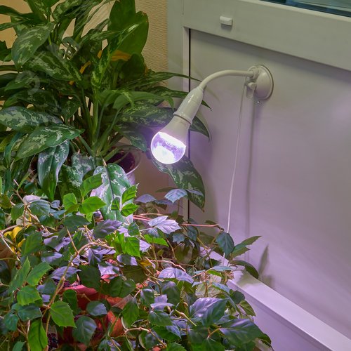 Светильник на присоске для фитоламп с выключателем, E2 цоколь, белый ФитоЛето - фото 19