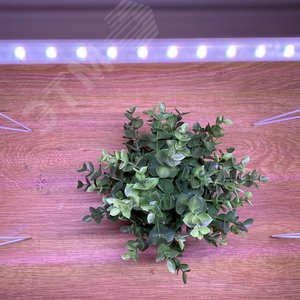 Светильник светодиодный для растений спектр для фотосинтеза ДПО18W 220-230в IP40 4000К линейный серебряный - фото 5