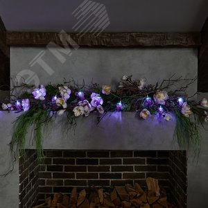 Гирлянда светодиодная на батарейках 2AA не в/к Виноград 4 м 10 светодиодов прозрачный провод ULD-S0400-010/STB/2AA WHITE IP20 GRAPES - фото 6