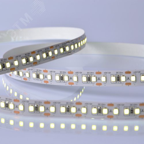Лента гибкая светодиодная на самоклеящейся основе. ULS-M14-2835-168LED/m-10мм-IP20-DC12V-14W/m-5м-6500K PROFI Катушка 5м. в герметичной упаковке. Дневной свет (6500K) - фото 3