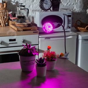 Лампа светодиодная для растений LED-A60-8W/SPSB/E27/CL PLP30GR Uniel - 3