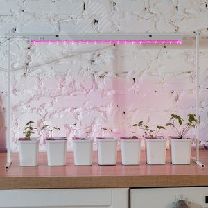 Светильник для растений светодиодный линейный, 570 мм, выключатель на корпусе, пластик, спектр для рассады и цветения - фото 2