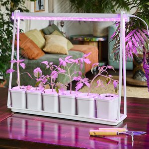 Набор Минисад светильник для растений светодиодный с подставкой Спектр для рассады и цветения 6 кашпо в/к мраморные - фото 4